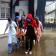 Mock Drill