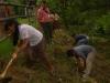 Tree Plantation Programme